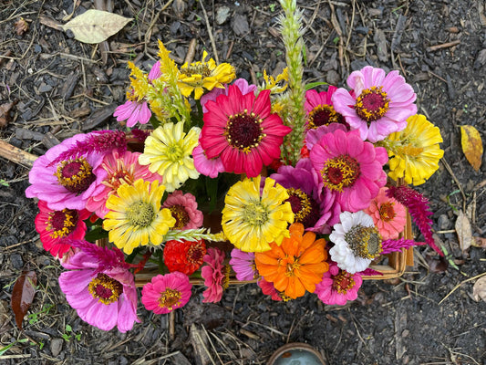 First post of 2025 - welcome to Top Knoll Farm & Flowers, Chagrin Falls Ohio