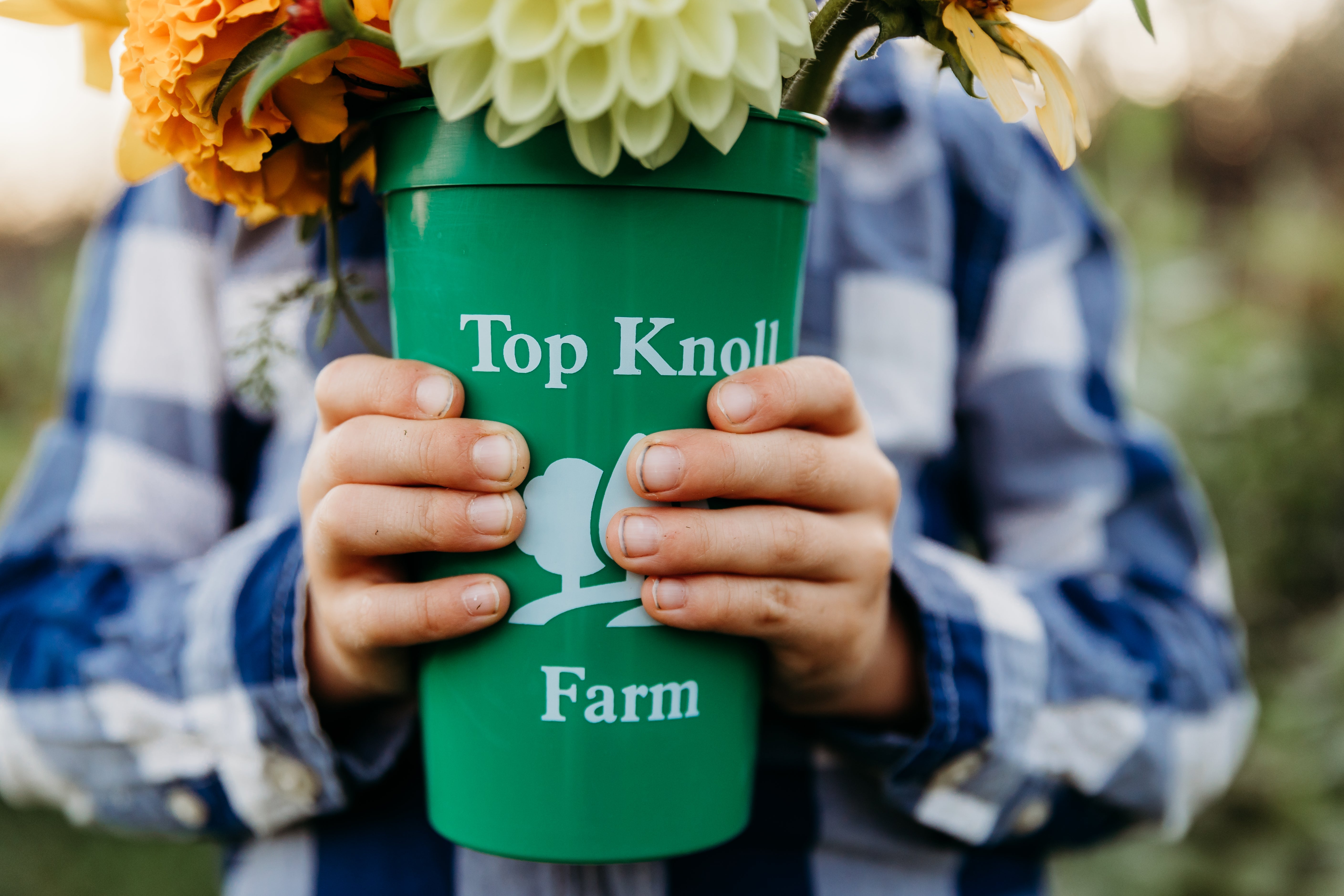 Upick Flower Farm Near Me Find Your Perfect Blooms