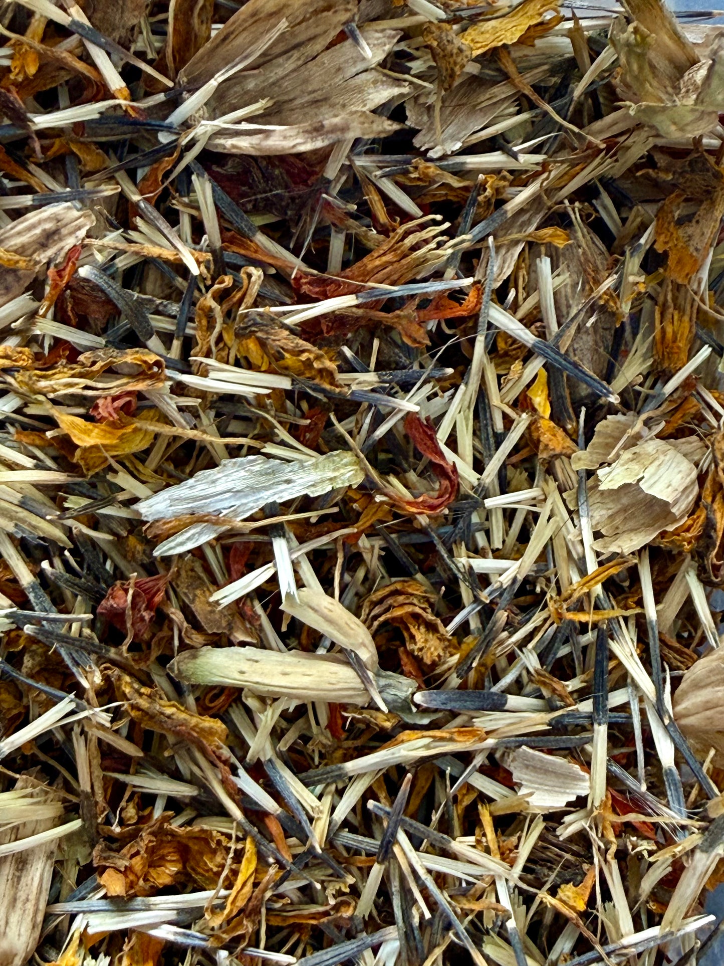 Marigold Mix (short variety)