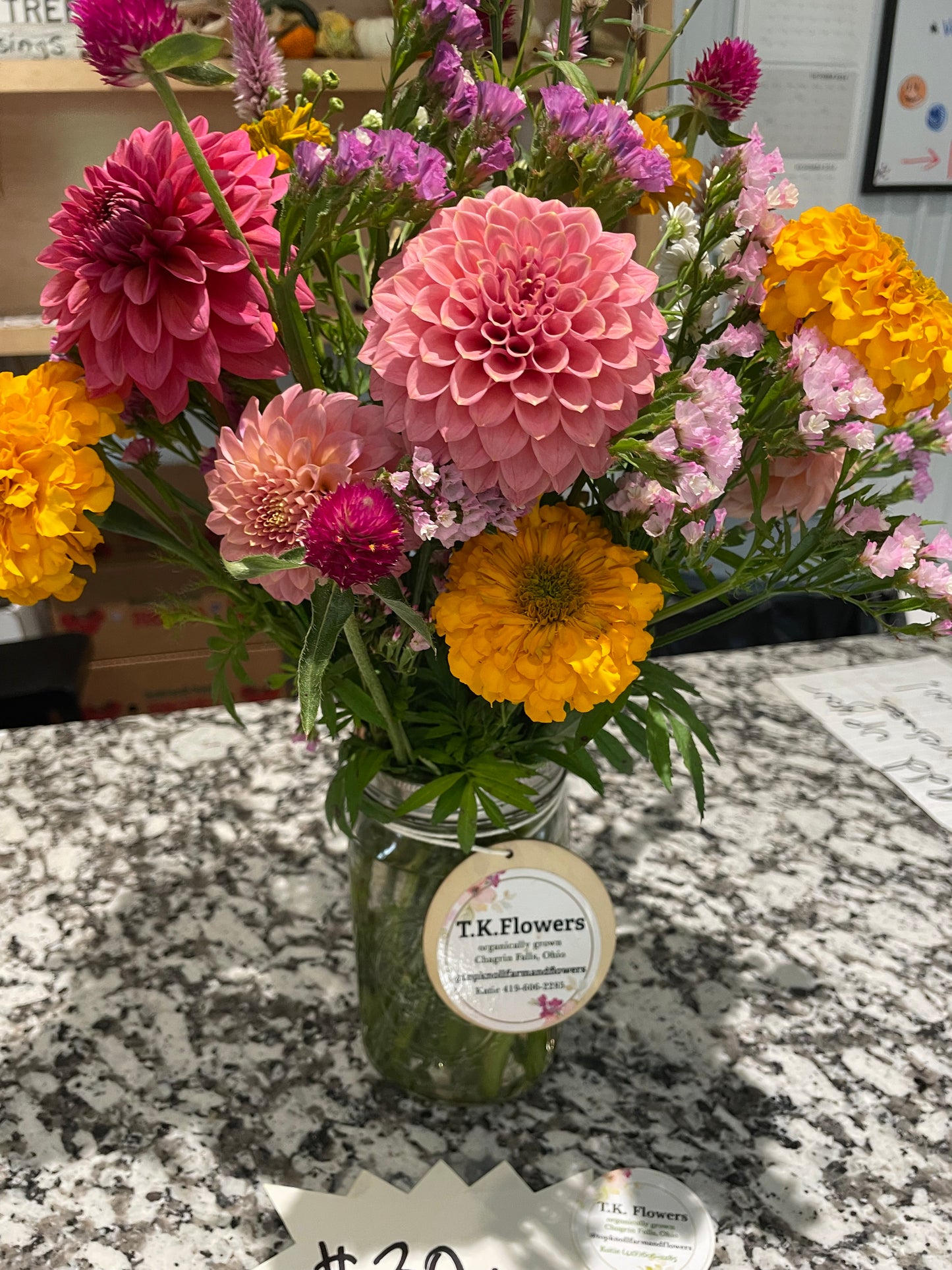 Rock Run Ashley Dahila Tuber