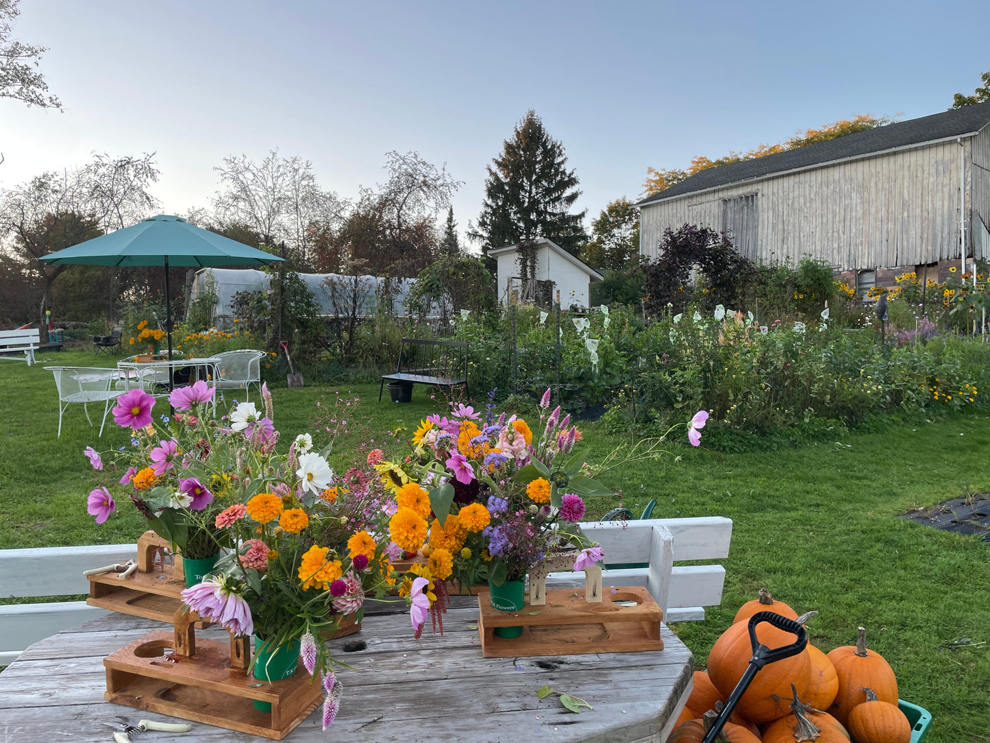 UPick Flowers Ticket 2025