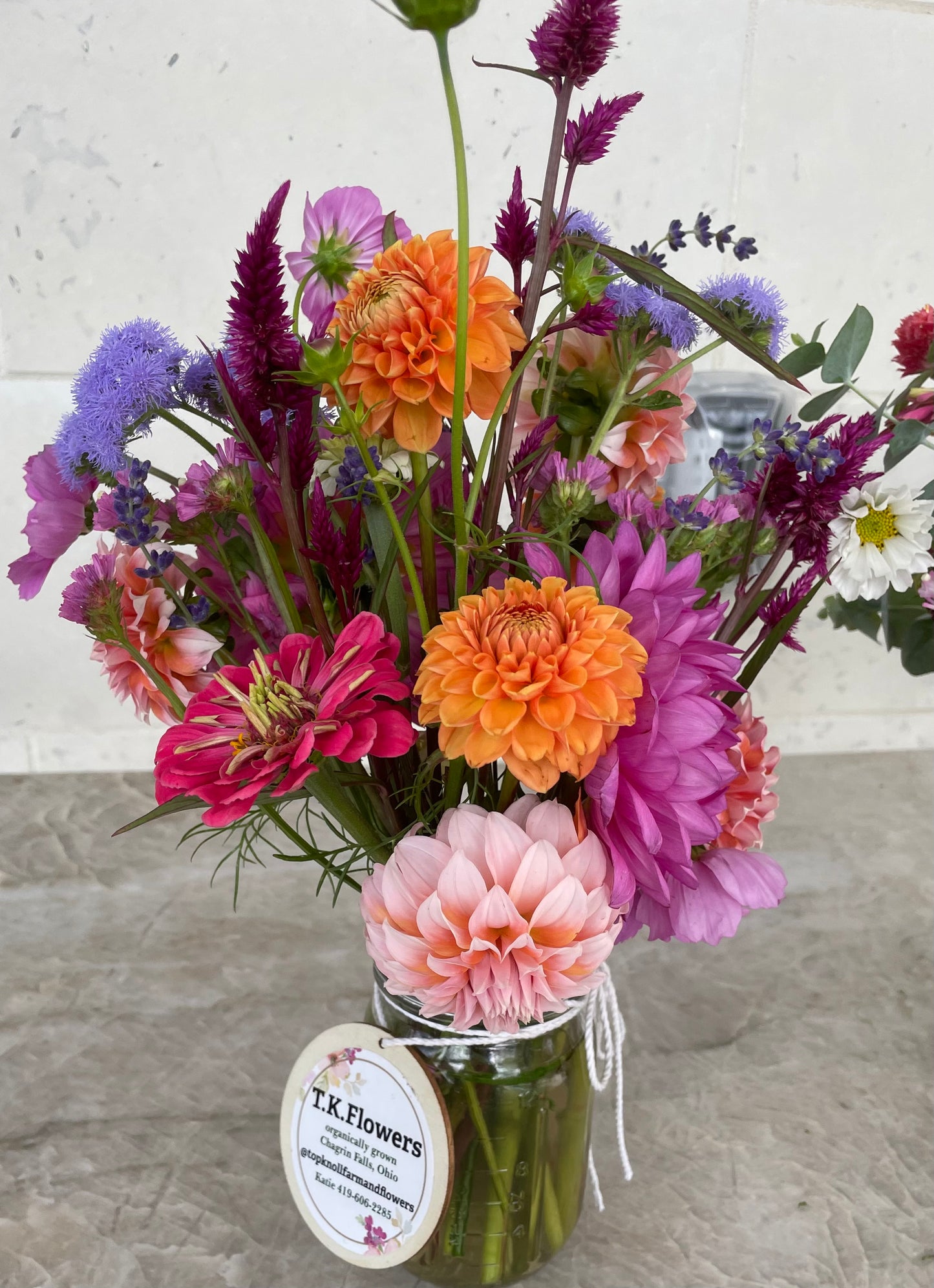 Orange Ball Dahlia Tuber