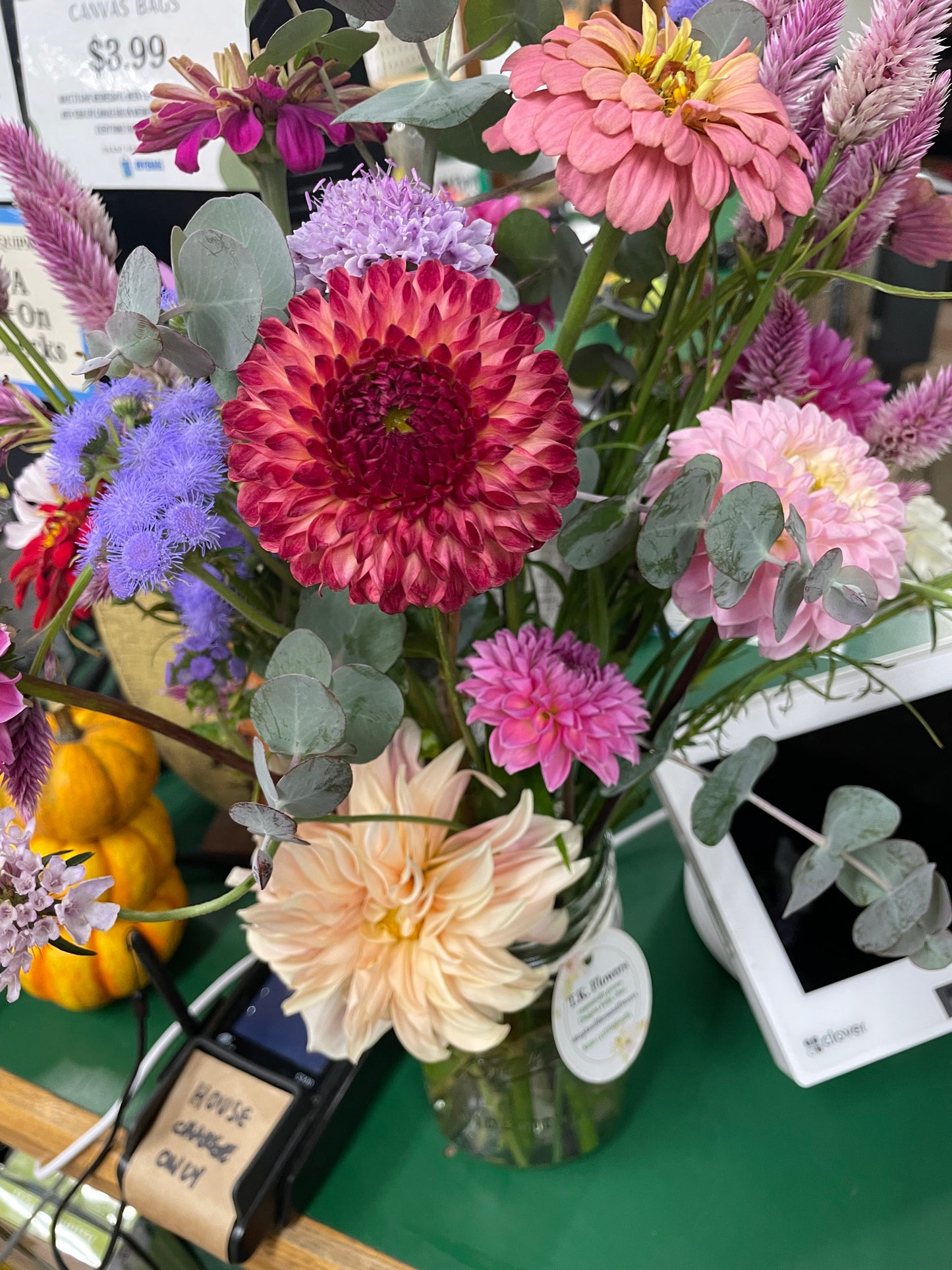 Camano Mordor Dahila Tuber