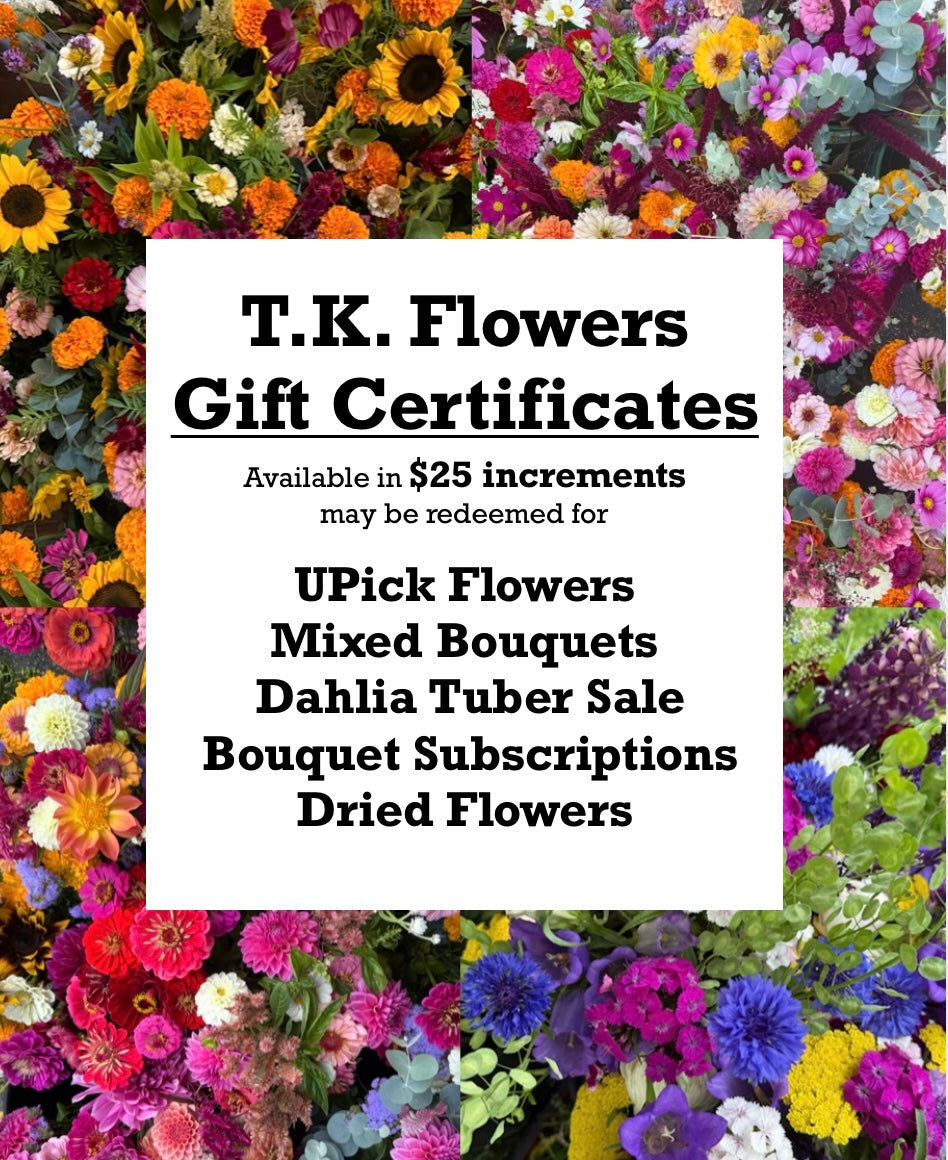 TK Flowers $25 GIFT Certificate