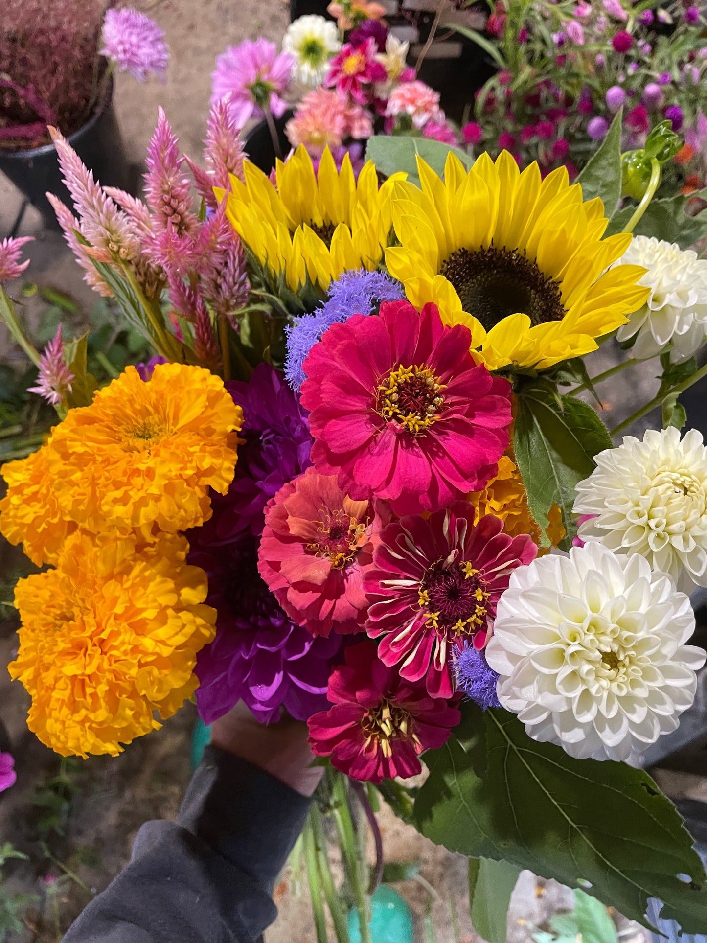 Special Occasion Bouquet
