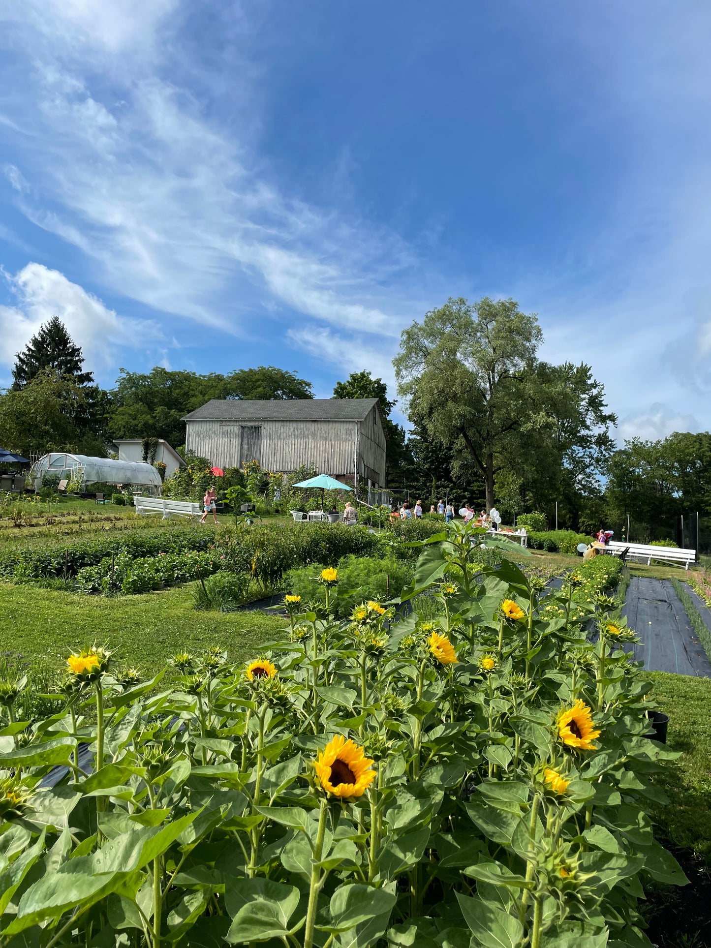 UPick Flowers Ticket 2025