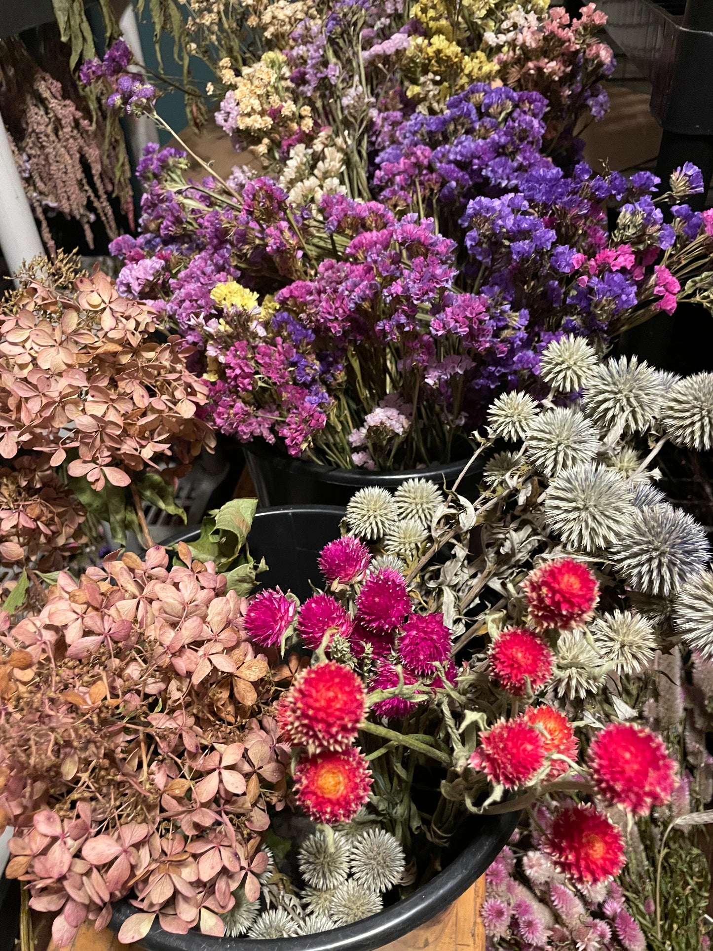 Dried Flower Bunches