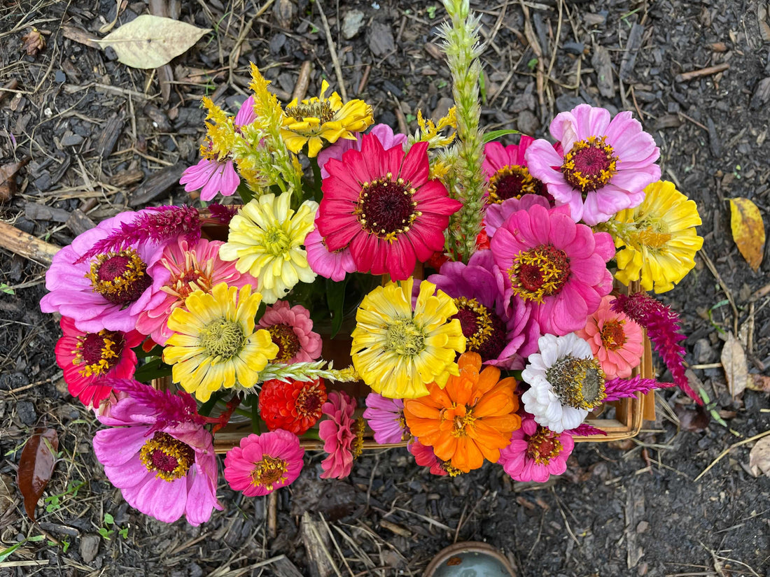 First post of 2025 - welcome to Top Knoll Farm & Flowers, Chagrin Falls Ohio