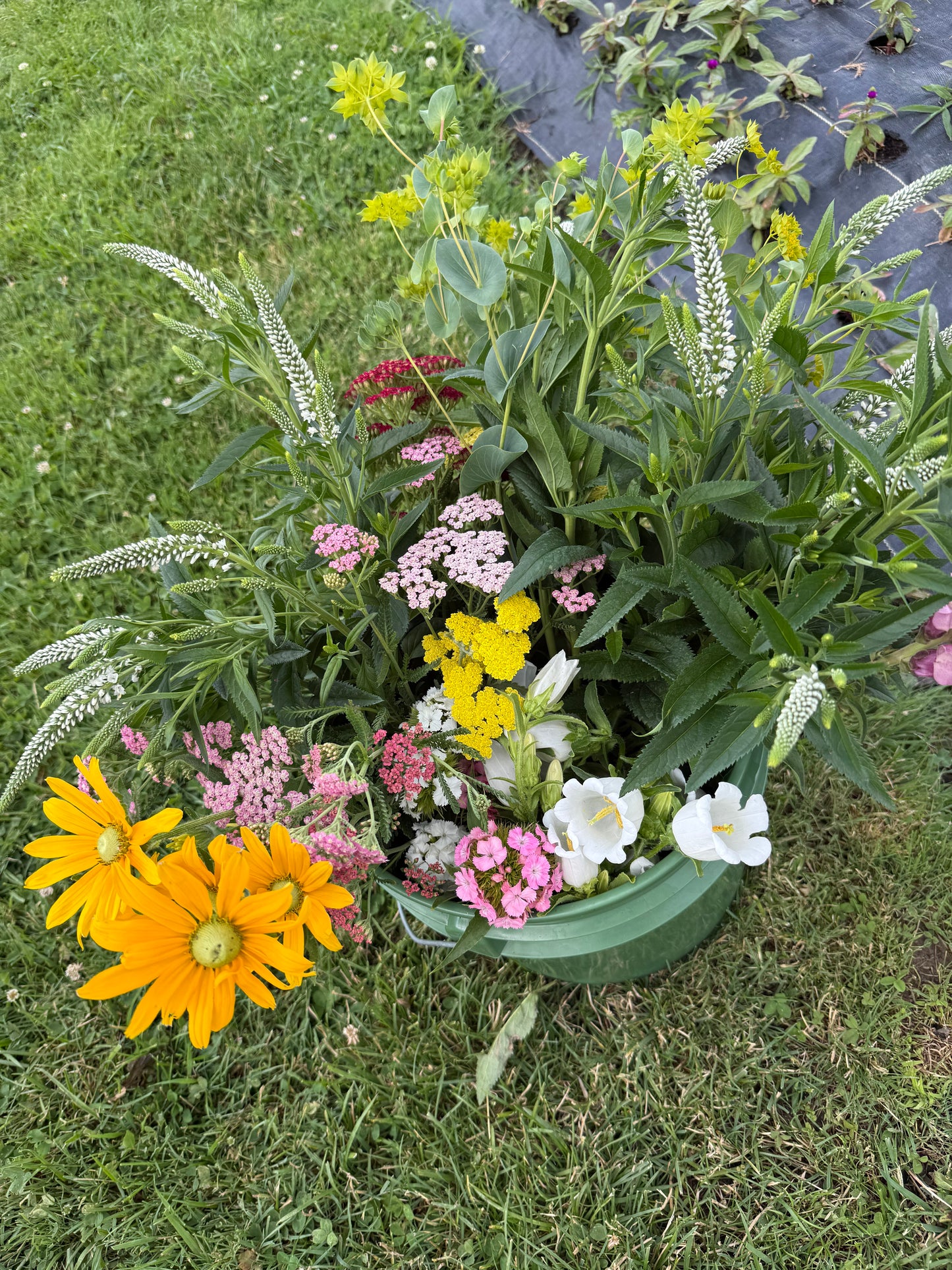 DIY Flower Bucket CLASSIC