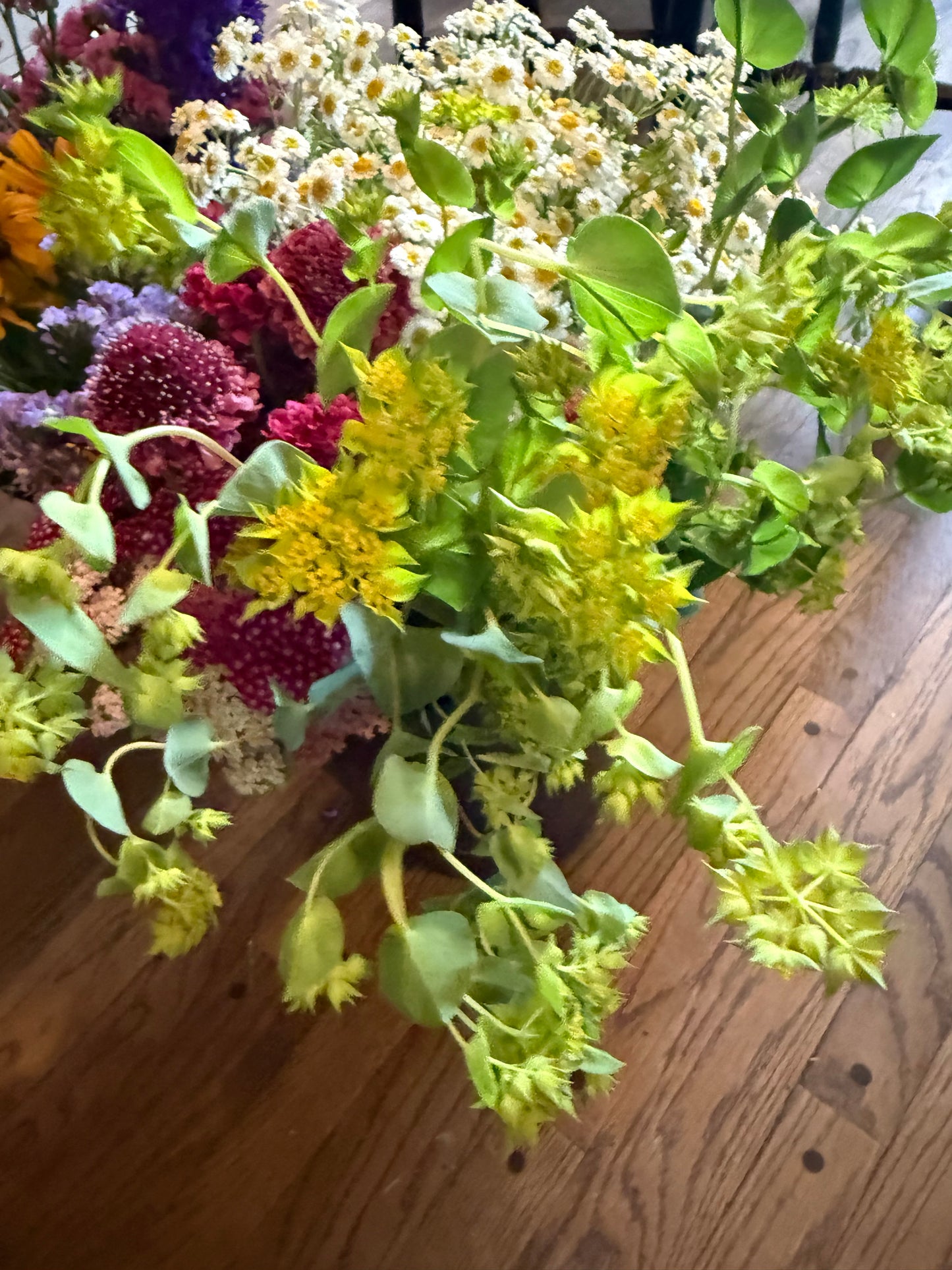 Bupleurum (Green Gold)