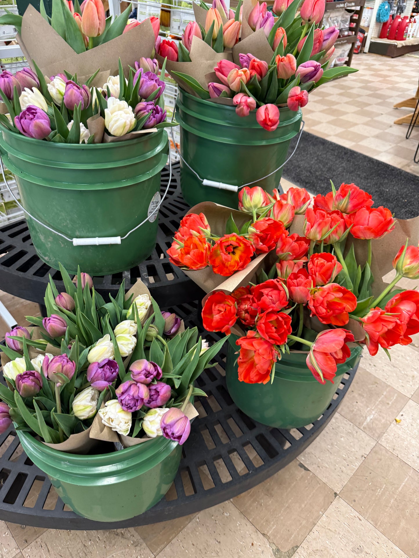 Spring Bouquet w/local delivery