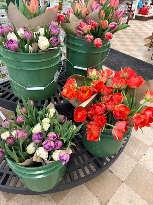 Spring Bouquet w/local delivery