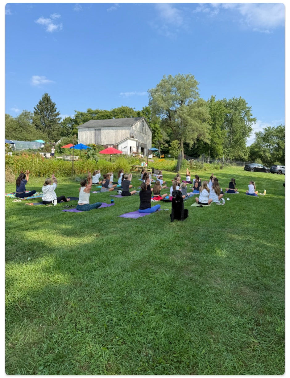 Energy Flow & Flowers - Tues Sept 15th  - Yoga & SUNSET Pick