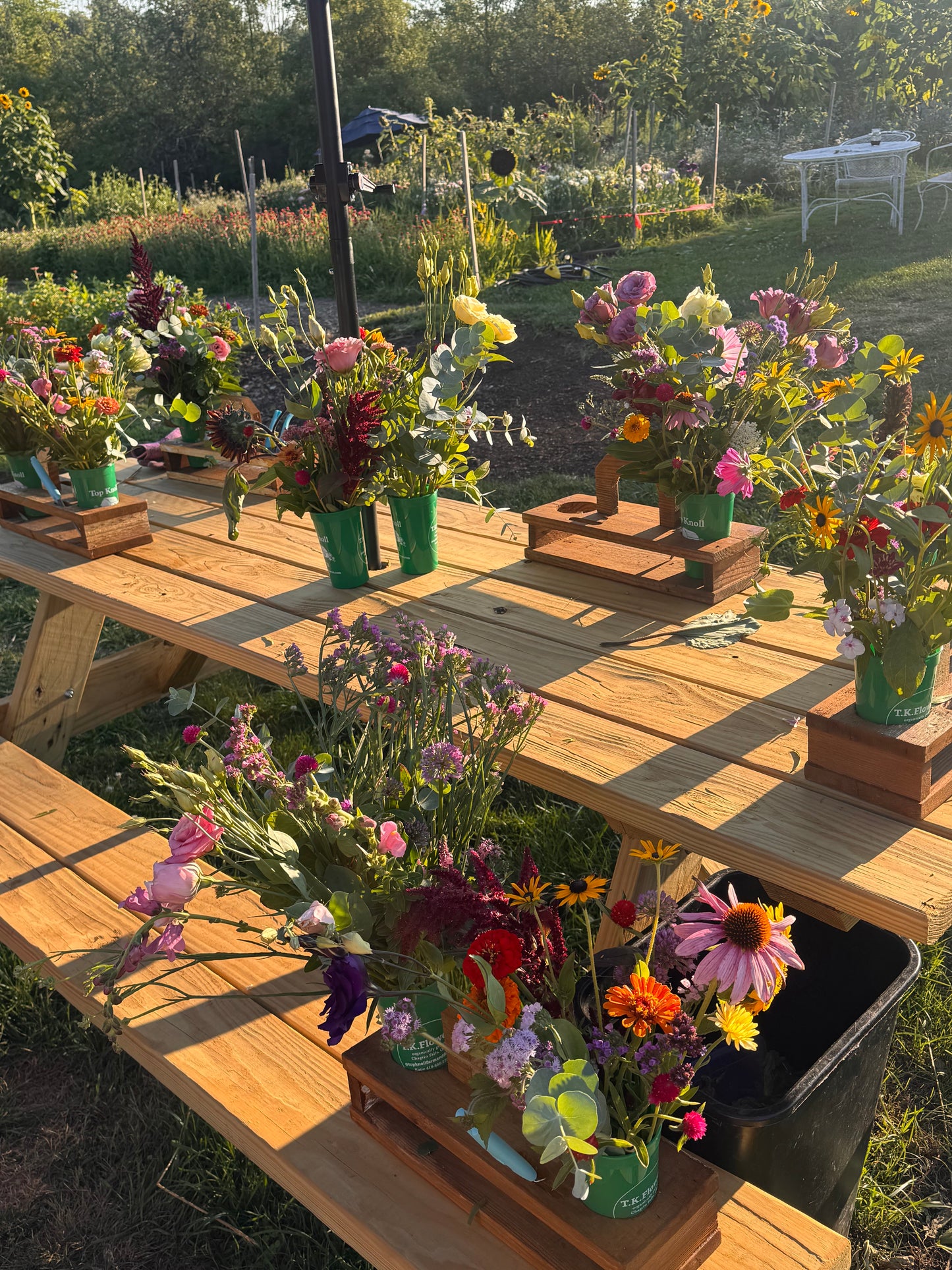 SUNSET UPick Ticket - Sunday August 30th