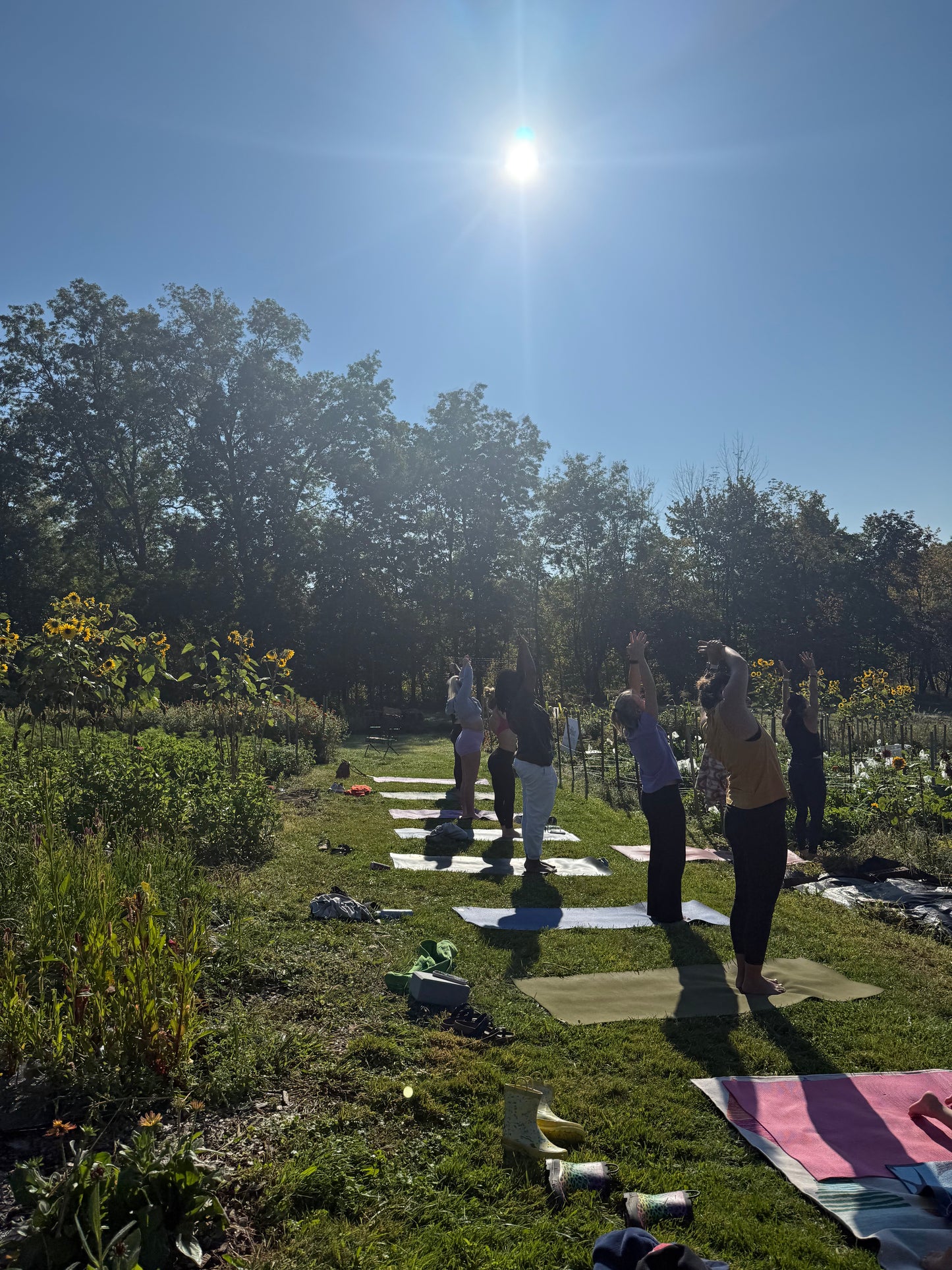 Flow & Flowers - Friday Sept 4th - Yoga & SUNSET Pick