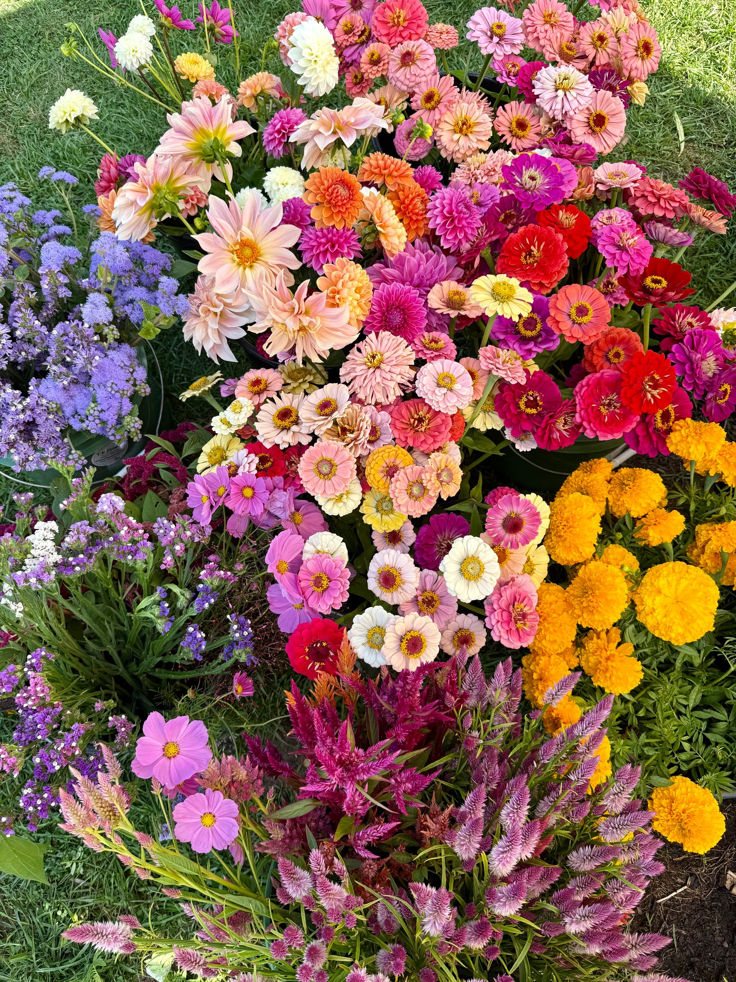Florist Special Order