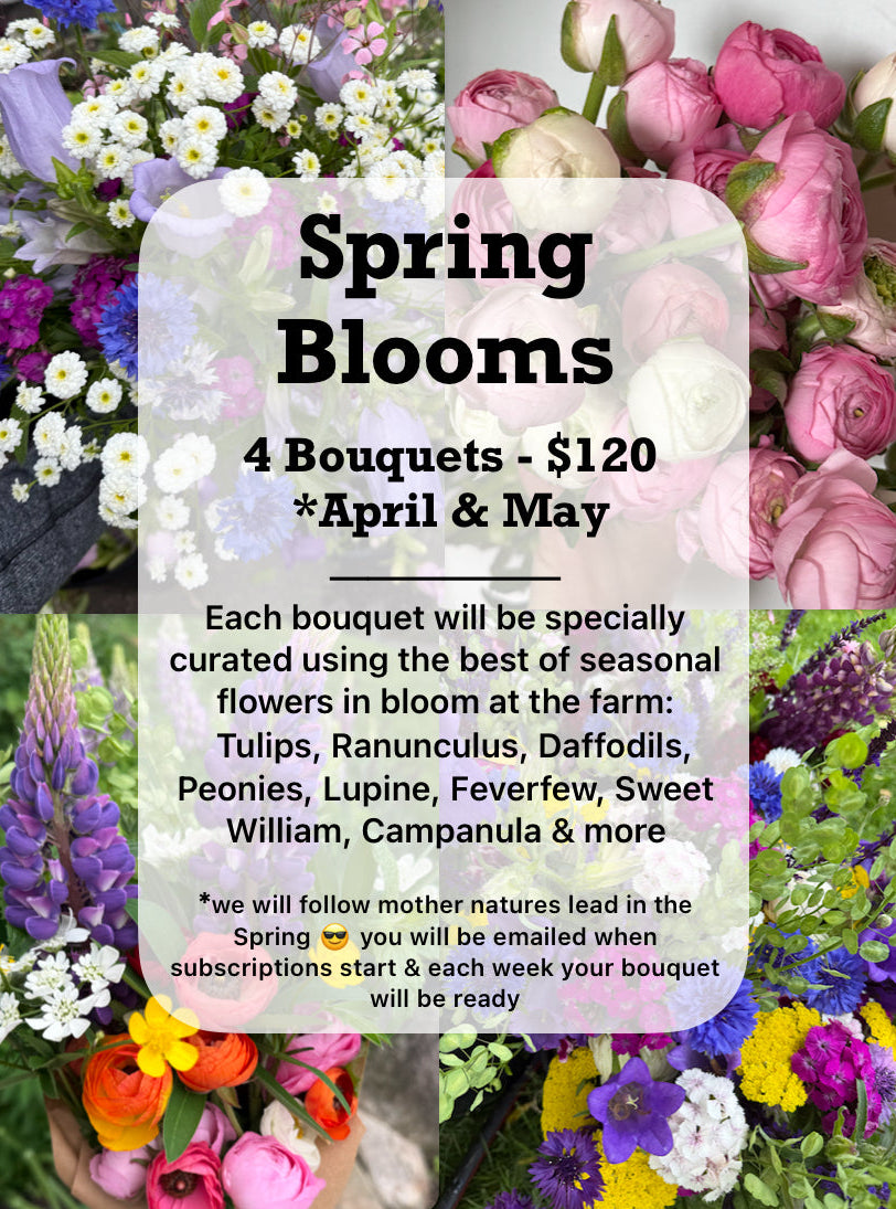 2026 Spring Bouquet Subscription – Top Knoll Farm and Flowers