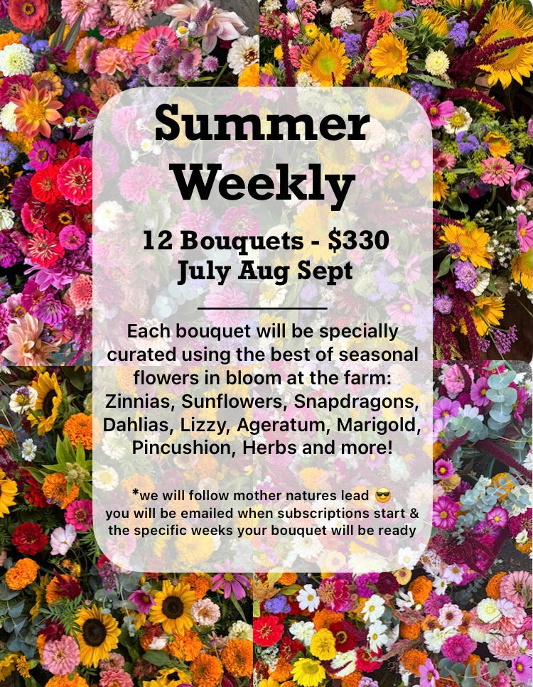 2026 Summer Weekly Bouquet Subscription