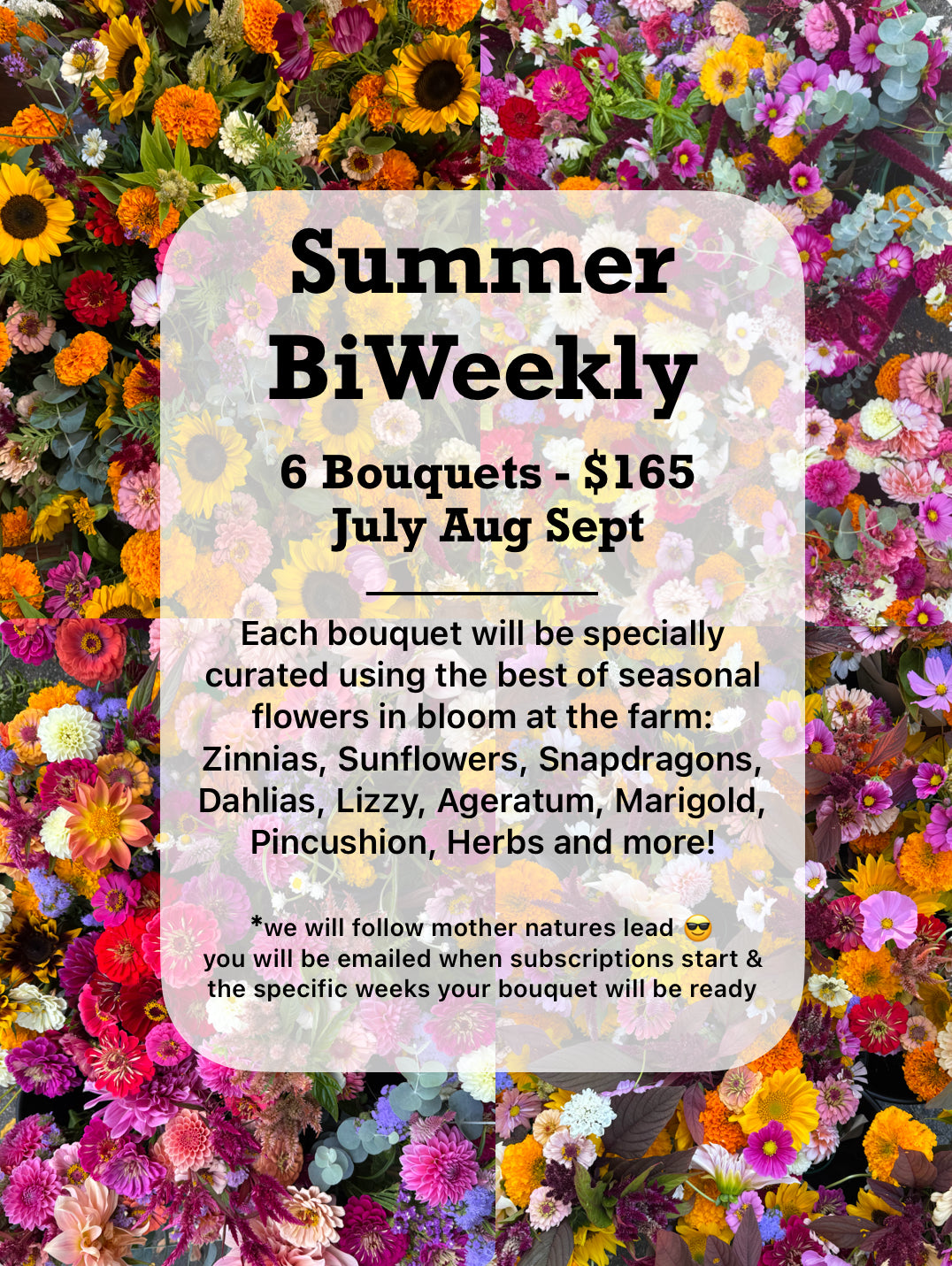 2026 Summer Bi-Weekly Bouquet Subscription