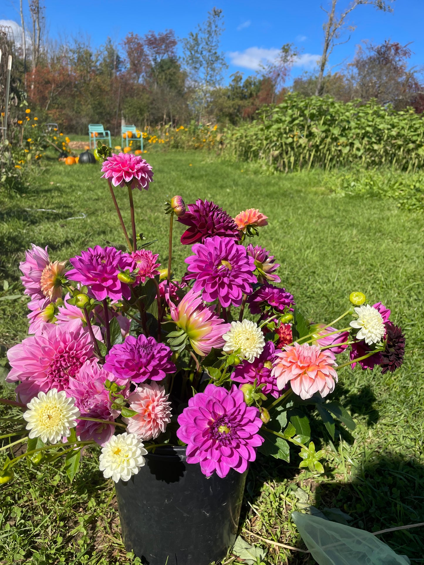 Florist Special Order