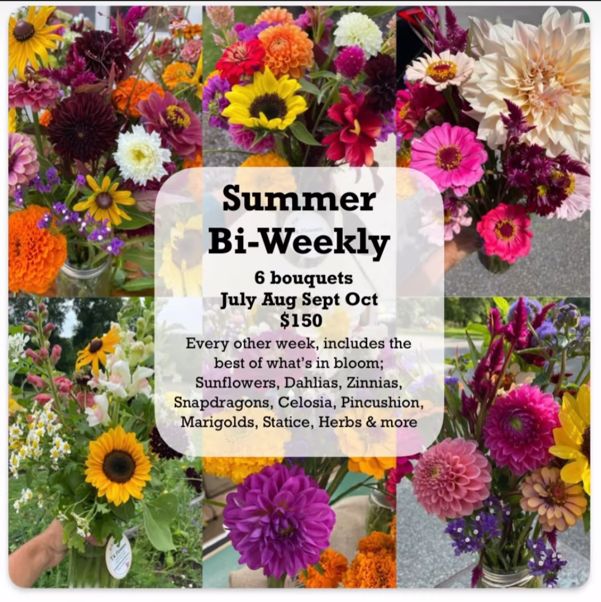 Summer Bi-Weekly Bouquet Subscription