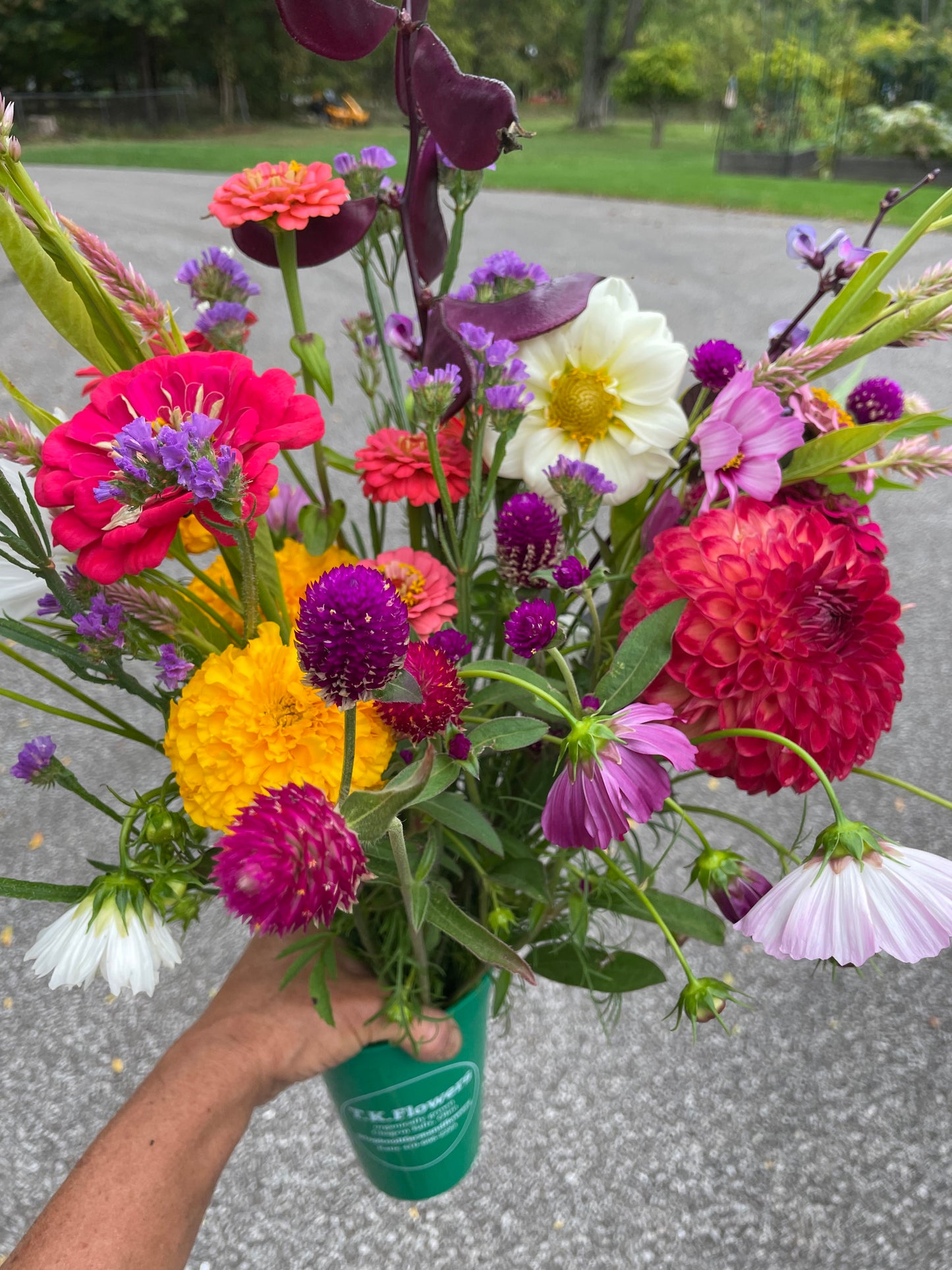 Camano Mordor Dahila Tuber